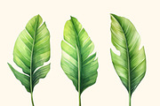 Tropical leaves patterns and element, a Decorative Illustration by irina.vaneeva (Thumbnail 10 of 11)