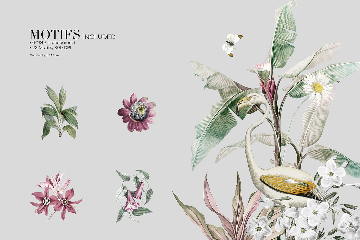 Tropica Pattern And Motifs, a Pattern Graphic by LEAFure (Photo 4 of 9)
