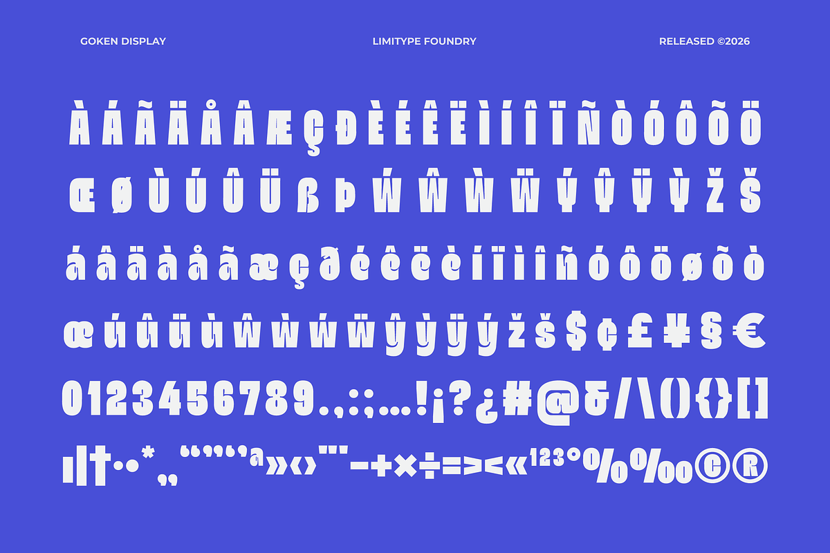 Goken - Bold Font, a Sans Serif Font by limitype (Photo 9 of 10)