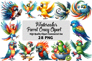 Watercolor parrot crazy Clipart, an Illustration by Daily.Designs
