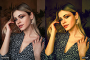 Professional Portrait Photo Presets, a Preset Add-On by AAA Presets (Thumbnail 10 of 21)