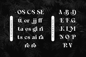 Novaria Serif Font