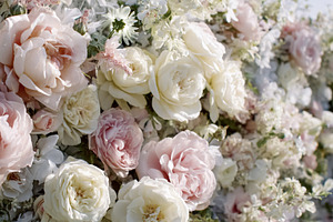 Country cottage garden with pathway, seasonal flowers, manicured, a Nature Photo by Studio ANNA