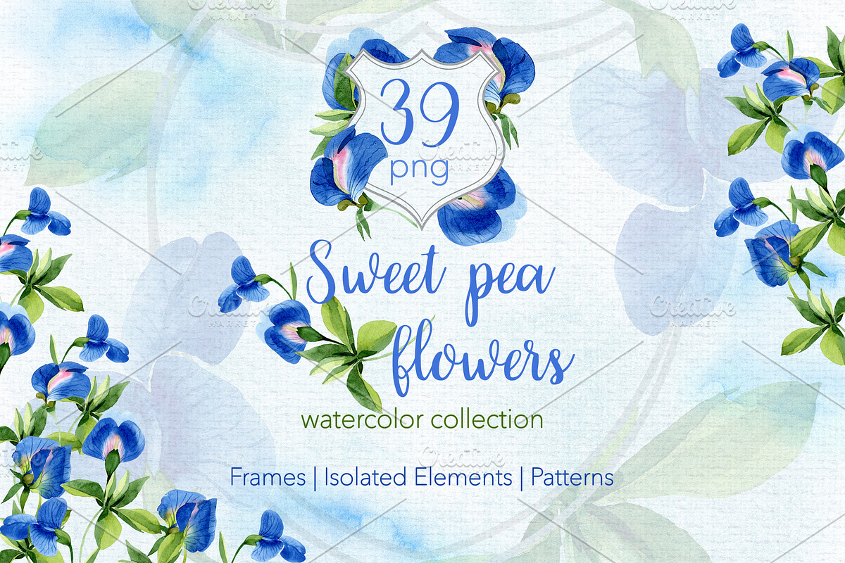 Sweet pea flowers Watercolor png, an Illustration by WatercolorPNG.com (Photo 1 of 10)