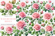 Watercolor Roses Clipart Blush Flora, an Illustration by Designworld (Thumbnail 1 of 6)