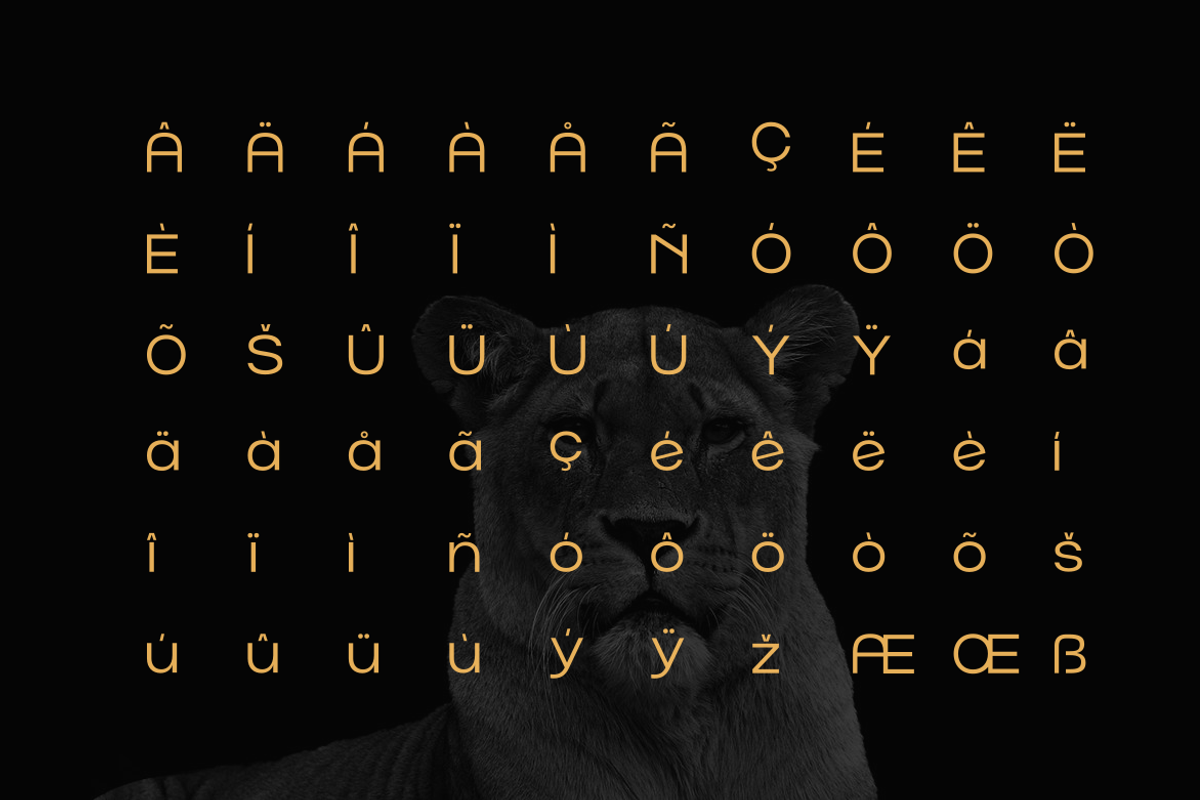 Norik Nue - A Modern Sans-serif Font, a Sans Serif Font by Webhance Studio (Photo 11 of 12)