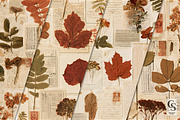 Fall Botanical Ephemera Backgrounds, a Pattern Graphic by Creative Store (Thumbnail 2 of 5)
