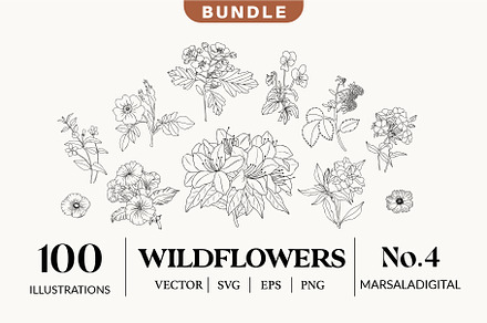 Floral Illustration Wildflowers No.4, an Object Graphic by Kaya Fonts