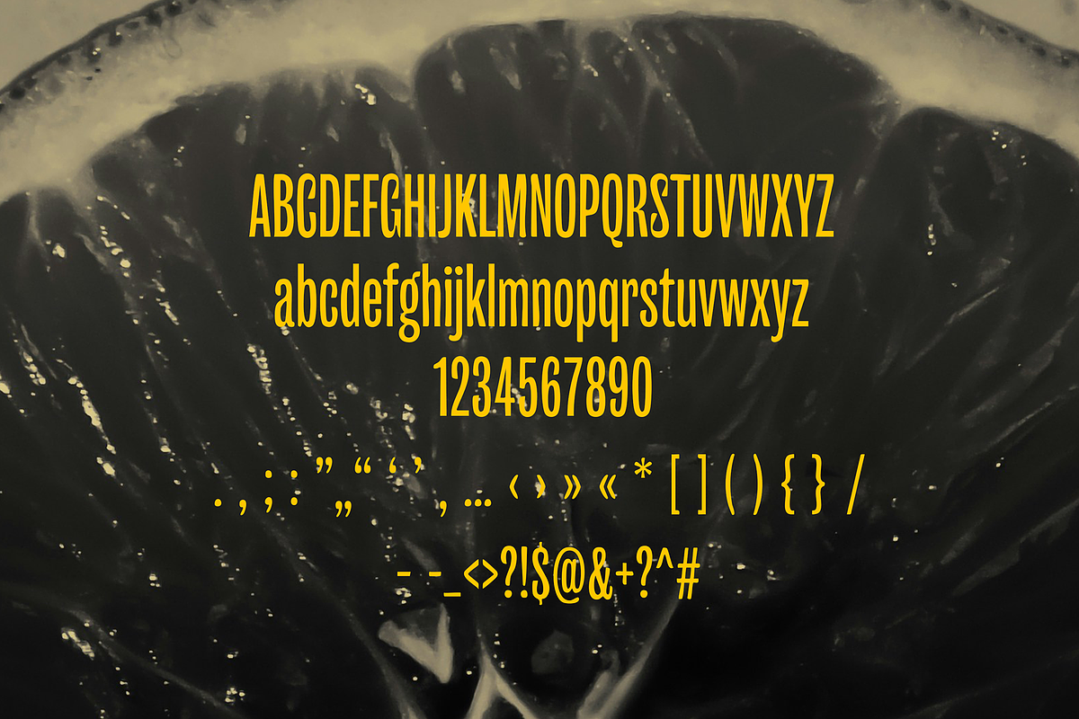 Citrus Tall Font, a Handwritten Font by gafaroff studio (Photo 5 of 5)