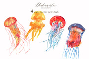 Watercolor whale. Sea underwater set, an Animal Illustration by Julycolor (Thumbnail 14 of 21)