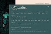Nandola Typeface, a Script Font by alit design (Thumbnail 11 of 16)