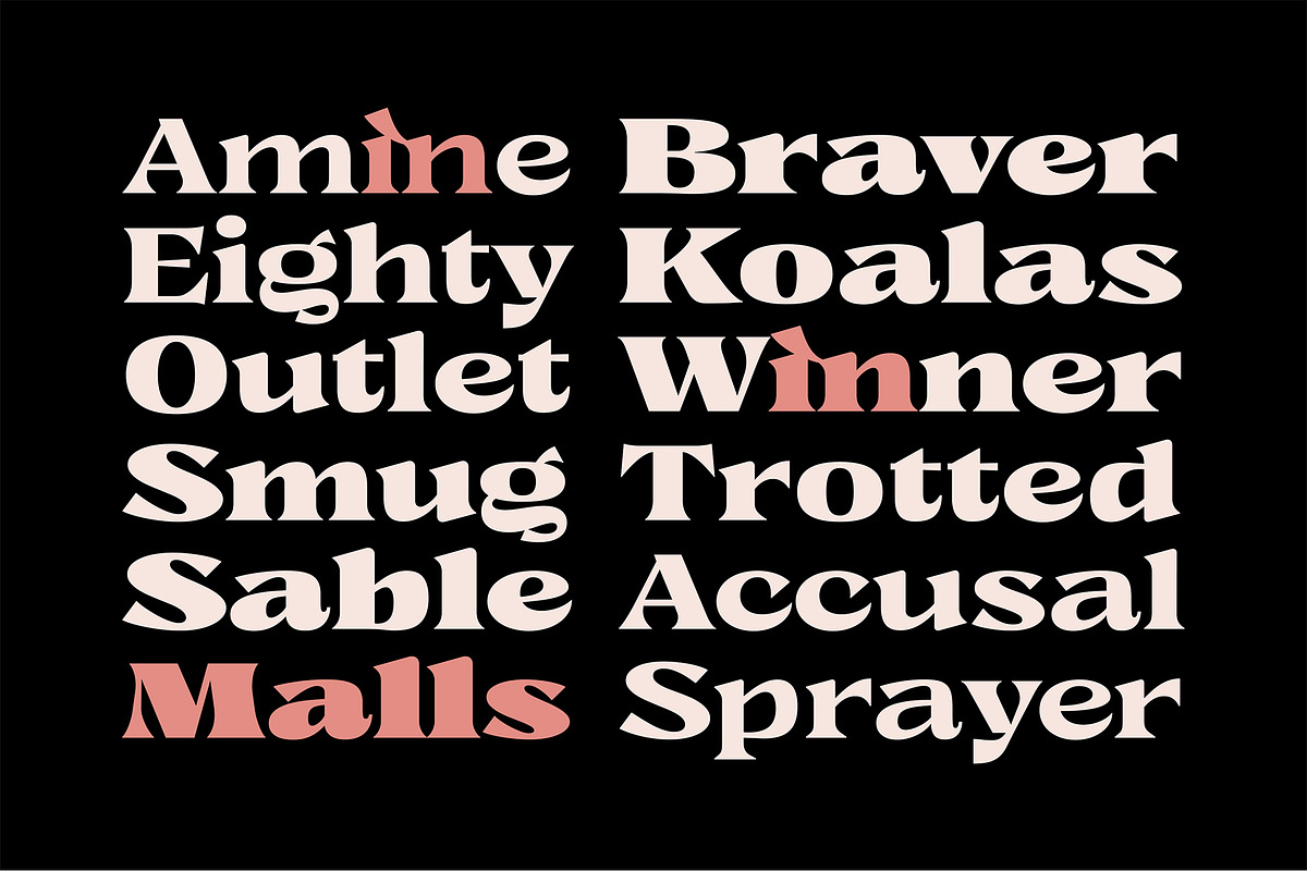 Caleit - Variable Font, a Serif Font by Get Studio (Photo 7 of 20)