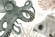 AQUATALES | 170+ elements, an Animal Illustration by Oksana Stepova (Thumbnail 6 of 19)