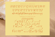 Routisan Darling, a Script Font by Integritype Studio (Thumbnail 14 of 15)