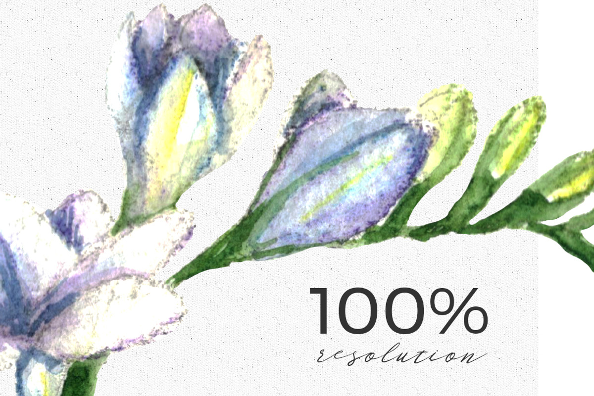 Wedding Watercolor Tulips Set, an Illustration by WBS Design (Photo 9 of 9)