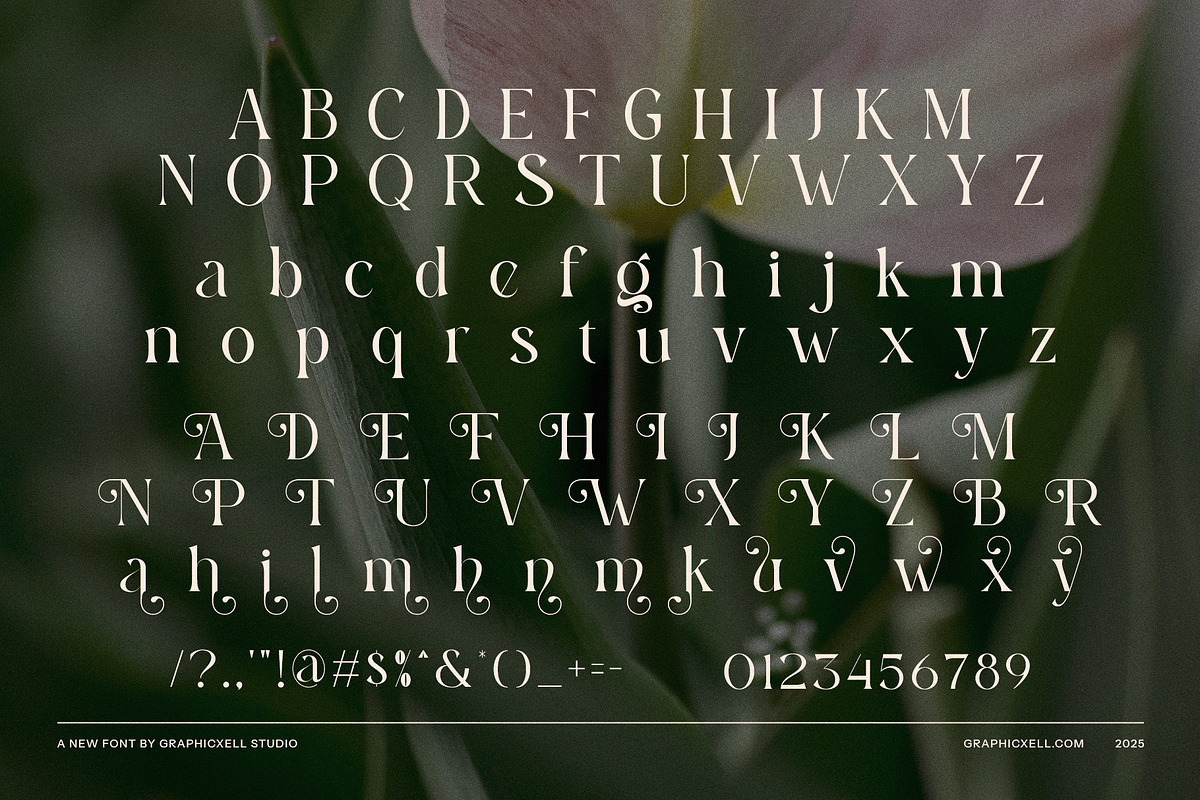 Jenura Stylish Serif Font, a Serif Font by Graphicxell (Photo 8 of 8)