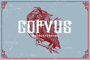 Douglass - blackletter, a Blackletter Font by Brightone (Thumbnail 2 of 8)