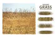 Dynamic Desert Grass Brushes, a Brush Add-On by Mohamed Saber (Thumbnail 3 of 6)