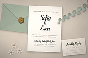 Velvet Bloom – Brush Script Font, a Script Font by vladocar (Thumbnail 6 of 10)