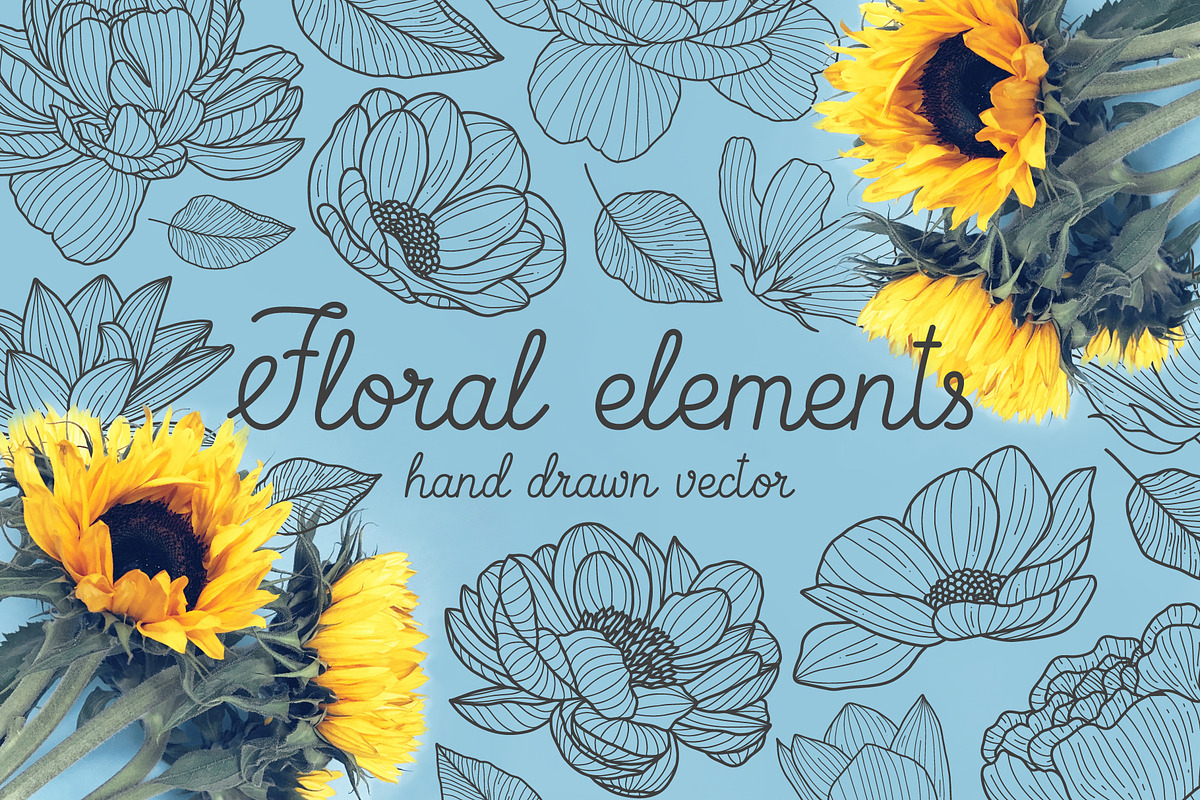 Hand drawn floral elements, a Decorative Illustration by Wander Designs (Photo 1 of 8)