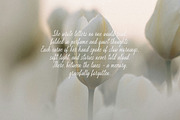 Rue Margot Elegant Wedding Script, a Script Font by AnMark (Thumbnail 13 of 15)