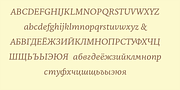 NCT Granite, a Serif Font by NCT (Thumbnail 9 of 10)