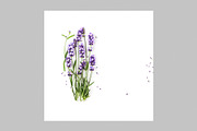 Lavender Herb Photo Pack, a Nature Photo by ifiStudio (Thumbnail 14 of 14)
