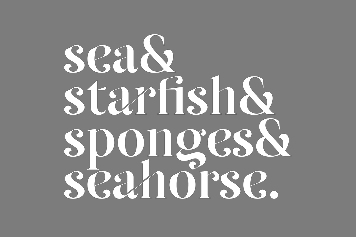 Yacht - Modern Ligature Font, a Serif Font by Genilson Santos (Photo 12 of 19)