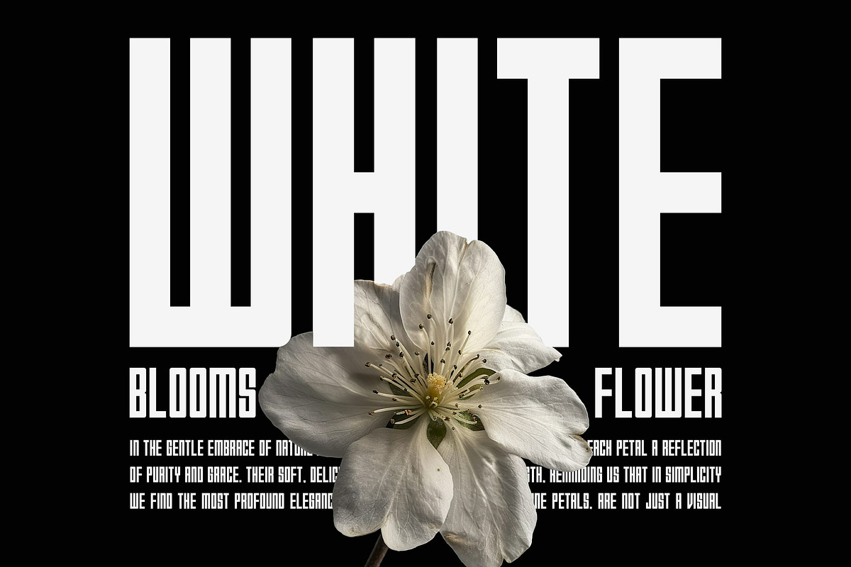 Squadra, a Sans Serif Font by Lemockup (Photo 14 of 14)