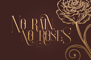 SALE! Enchants - Magical font, a Serif Font by VP Fonts (Thumbnail 5 of 14)