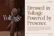 Emofera | Modern Serif Font, a Serif Font by The_Type (Thumbnail 2 of 12)