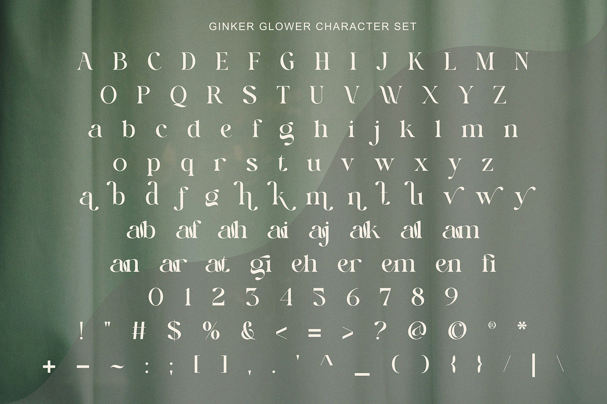 Ginker Glower, a Serif Font by Muflieart (Photo 7 of 8)