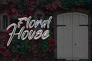 Black Gatte - Brush Font, a Script Font by NTC Graphic (Thumbnail 4 of 9)