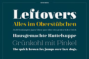 XXII Elissa, a Serif Font by Doubletwo Studios (Thumbnail 8 of 25)