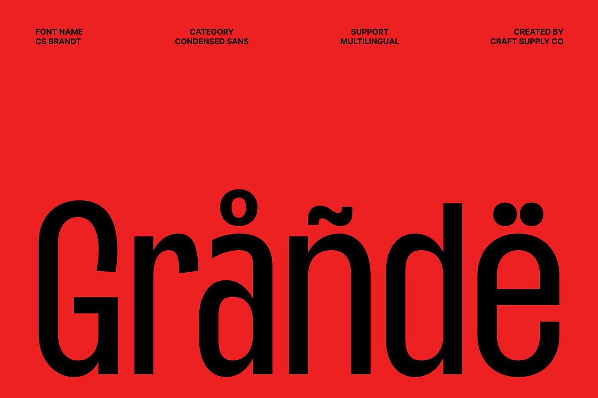 CS Brandt – Condensed Font, a Sans Serif Font by Craft Supply Co. (Photo 7 of 8)