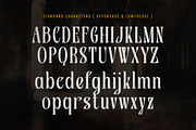 Epic Fantasy Display - Burstlock, a Serif Font by Shakira Studio (Thumbnail 9 of 10)