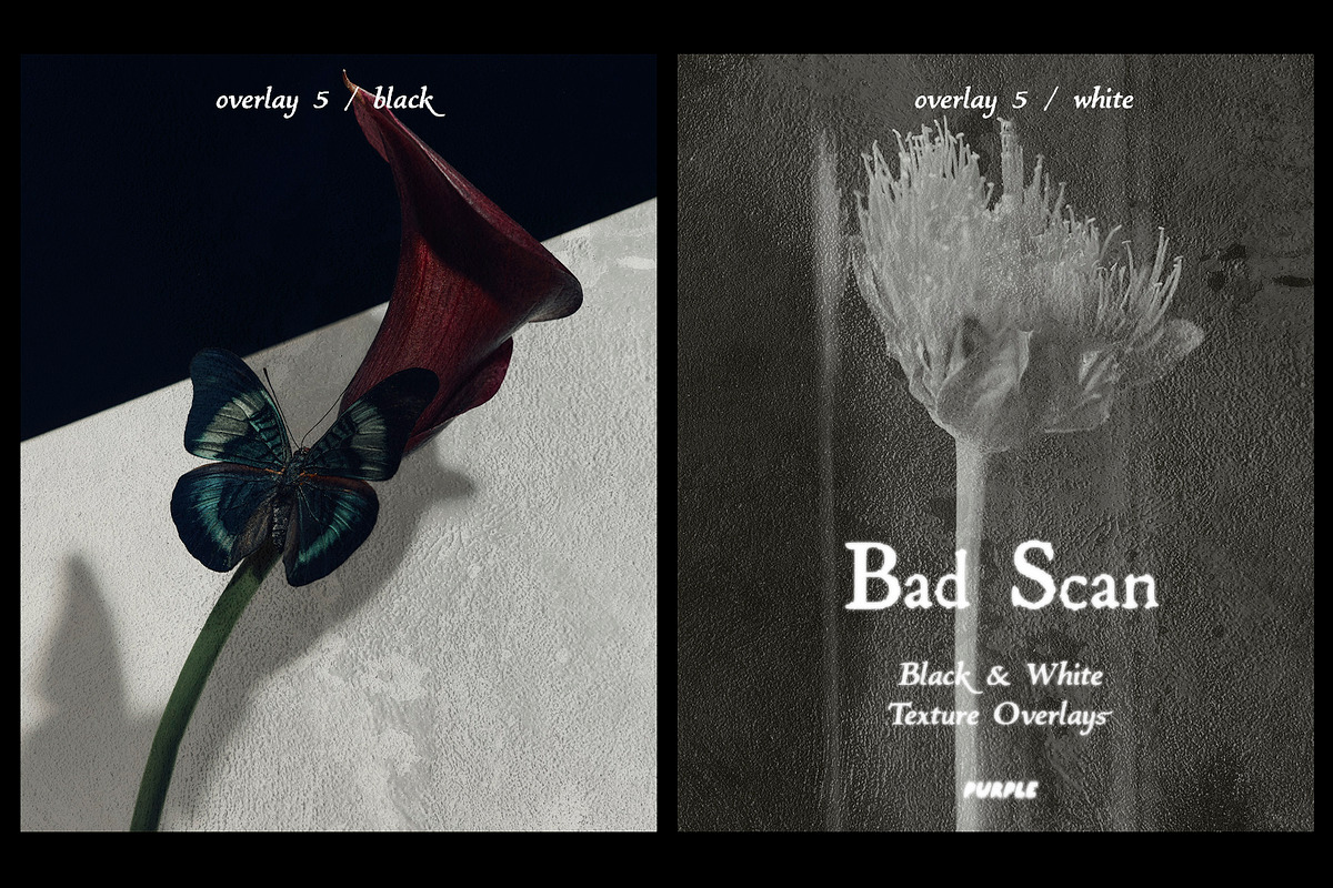 Bad Scan: Black & White Overlays, a Texture Graphic by Purple (Photo 7 of 21)