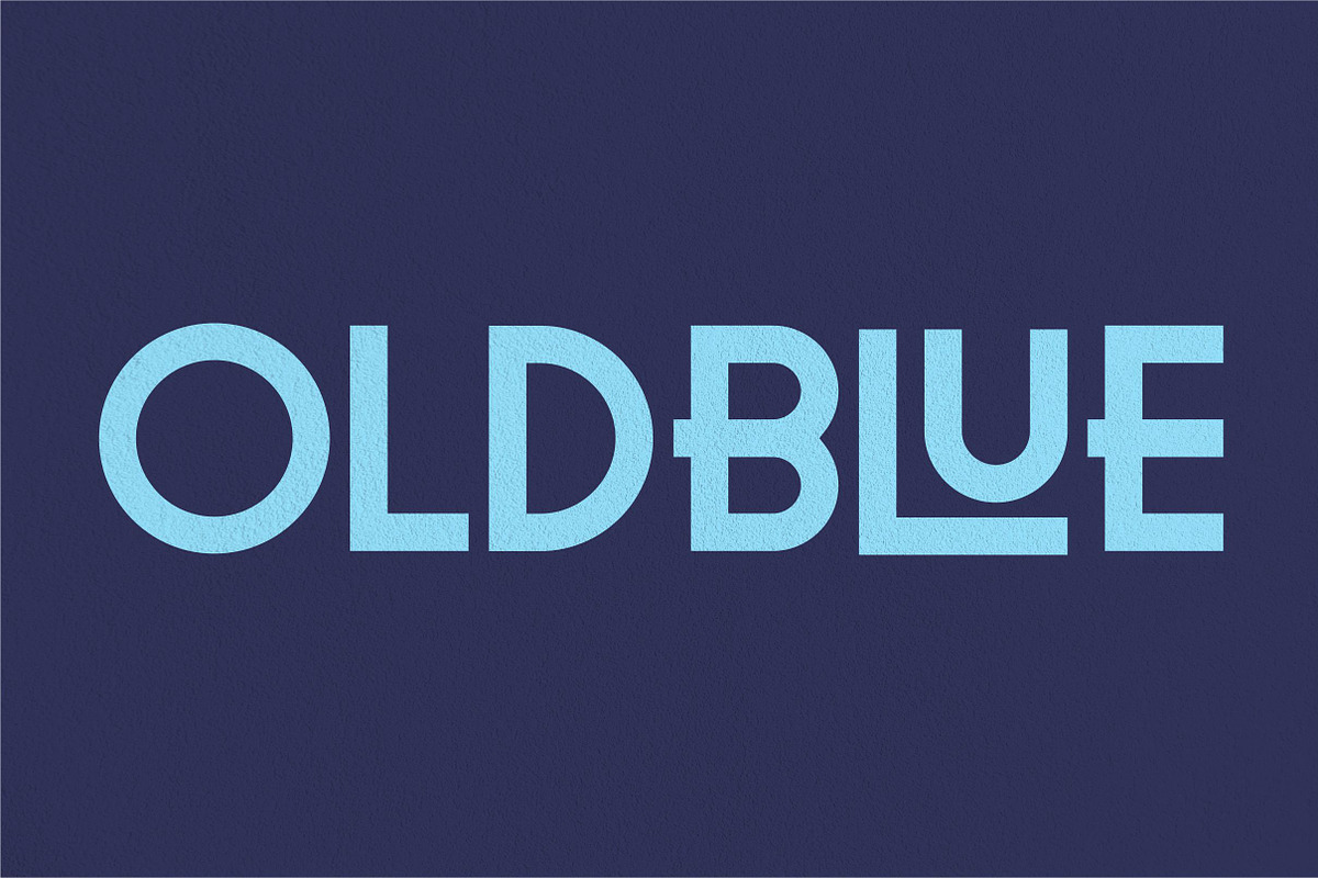 Mini-Pack Display Font Bundel+ Bonus, a Font by Bagerich Type Foundry (Photo 9 of 11)
