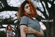 Ariel Bourgoing Luts Pack, an Action Add-On by Bourgoing Presets (Thumbnail 3 of 4)