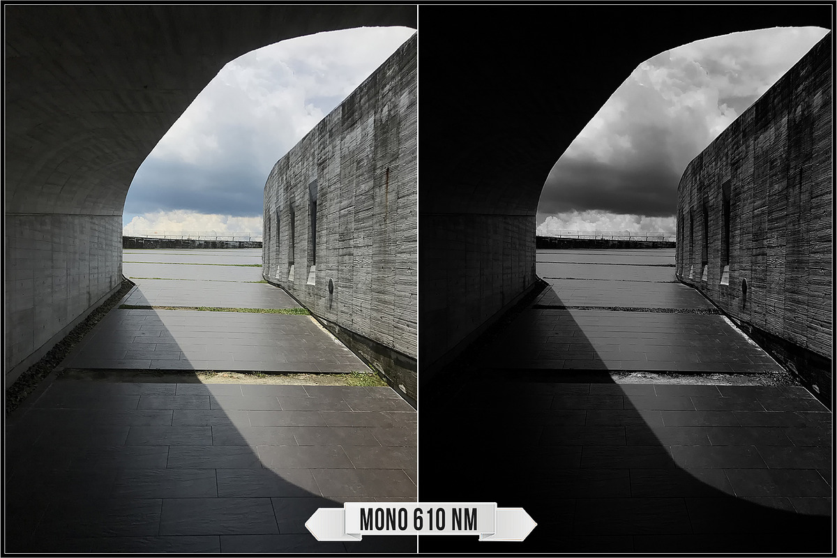 Spectrum Black & White profiles LUTs, a Plug-in Add-On by Raztrend (Photo 12 of 31)