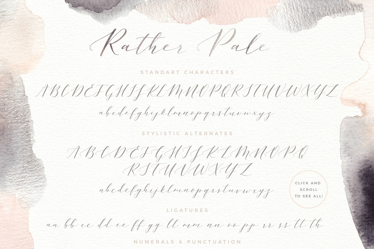 Rather Pale Script, Logos & Clipart preview 2