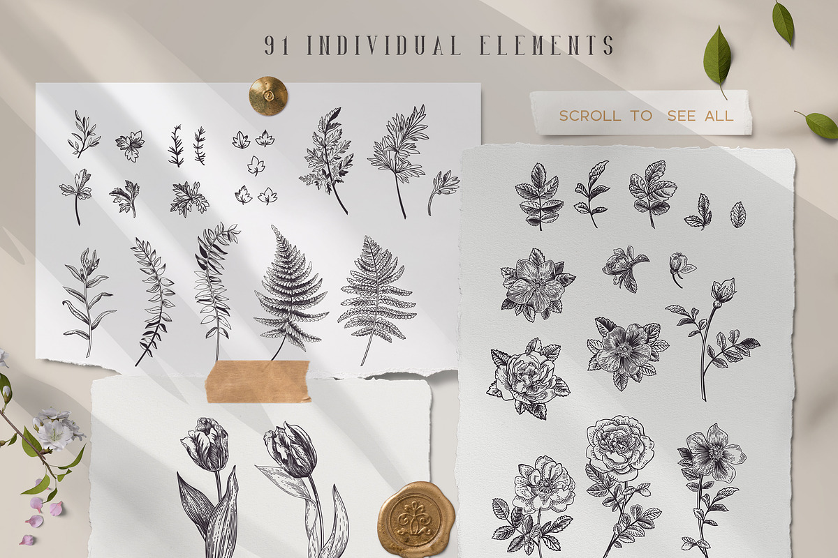 Little garden b&w, an Animal Illustration by Lisla (Photo 6 of 11)