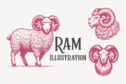Elegant Vintage Ram Illustration, an Animal Illustration by MkStudio (Thumbnail 1 of 3)
