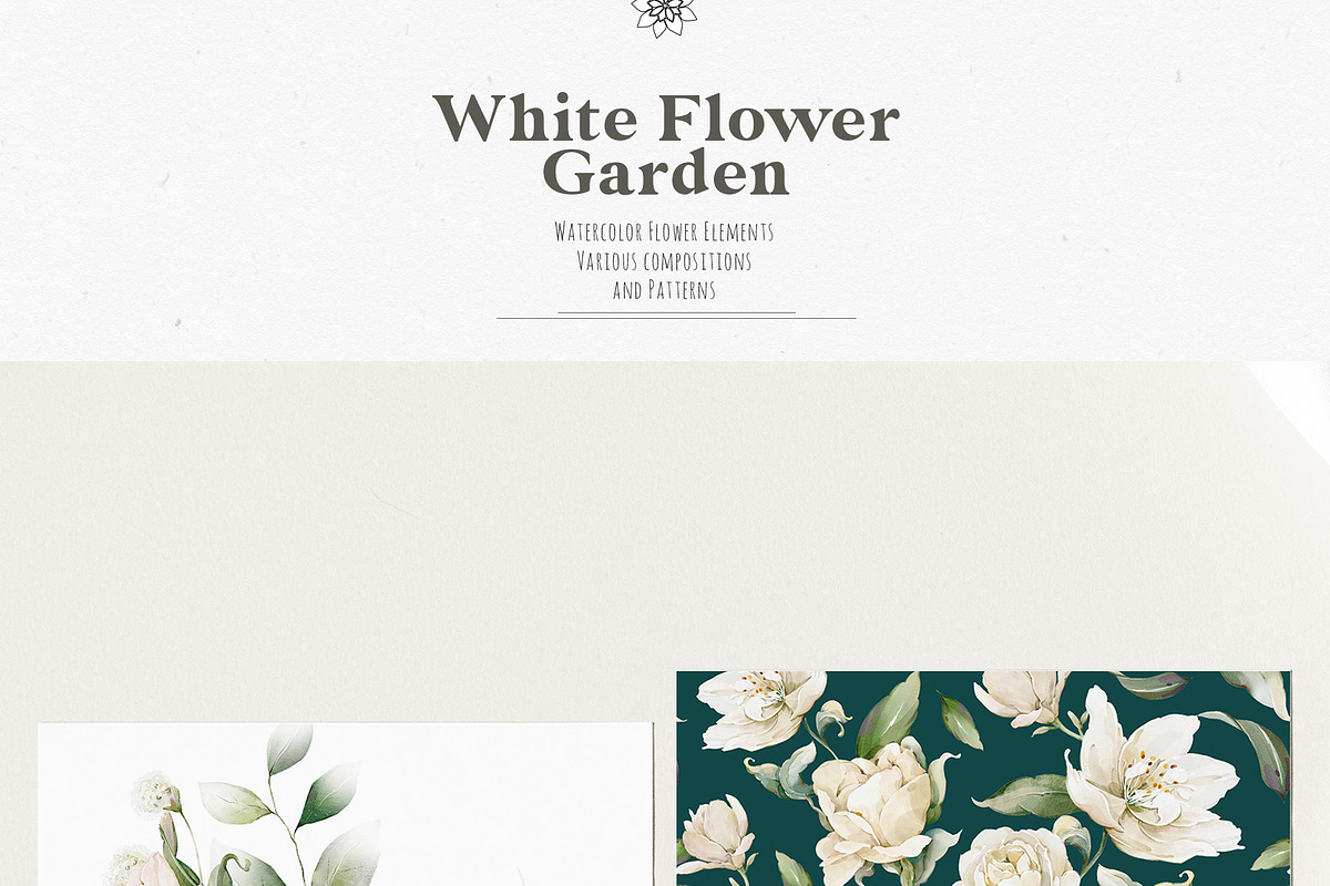 Watercolor White Flowers Collection, a Decorative Illustration by Damian Roh (Photo 7 of 16)