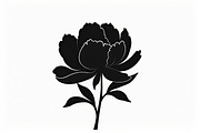 Floral Corner & Border Bundle, an Illustration by BIPLOB EXPERT (Thumbnail 9 of 9)