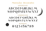 Modern Display Font Bundle, a Sans Serif Font by Struvictory.art (Thumbnail 21 of 31)