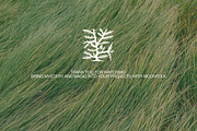 Moonfolk: 80 Hand-Drawn Illustration, a Decorative Illustration by Veyla (Thumbnail 10 of 10)