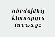 Silvex Editorial Serif Family Font, a Serif Font by UICreative (Thumbnail 12 of 13)
