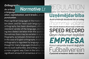 Normative Lt – 4 fonts, a Font by Green Type (Thumbnail 3 of 5)