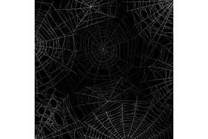 Spider Web Background. Spooky Cobweb